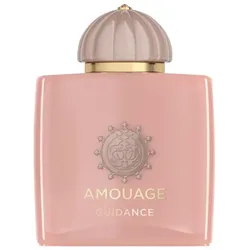 Amouage Guidance Eau de Parfum 100 ml 