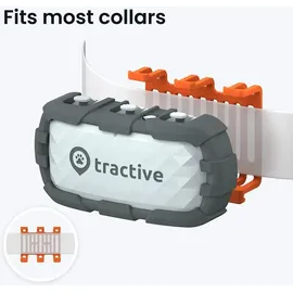 tractive Adventure Dog XL GPS-Lokalisierer Grau One Size