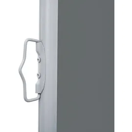 vidaXL Ausziehbare Seitenmarkise Anthrazit 100 x 600 cm