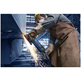 Bosch EXWS30-230PB für 230 mm