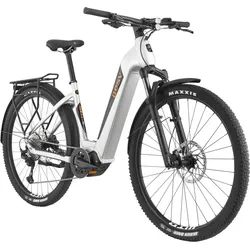BESV TRX Urban 1.1 LS Silber Modell Aktion