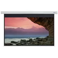 Celexon DELUXX Cinema Motorleinwand 265 x 149cm, 120" -