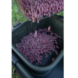 Korum Eva Bait Station