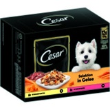 Cesar Selektion in Gelee Huhn, Rind 12 x 100 g