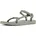 Damen Seagrass 36