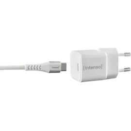Intenso Power Adapter W30C GaN + C315C Kabel weiß