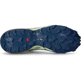Salomon Speedcross 6 Herren Castlerock/Lime Cream/Poseidon 46 2/3