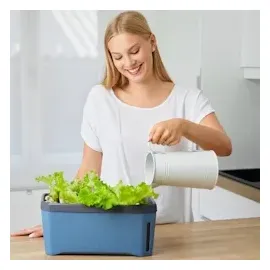 Gusta Garden Anzuchtsgefäß Harry Herbs 5 L hellgrau