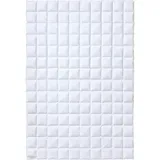 Kauffmann Weidegans Daunendecke leicht