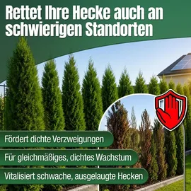 düngemeister Heckendünger für grüne Hecken 5 kg