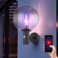 Wandlampe Außenleuchte Fassadenlampe Bewegungsmelder dimmbar Smart LED Rauchglas