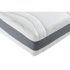 fan ProVita First Class T 80 x 200 cm H2 Polyester Bezug