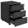 Songmics Rollcontainer 39 x 45 x 55 cm schwarz