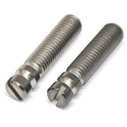 Bridge Pivot Screw / Chrome (2 pieces)