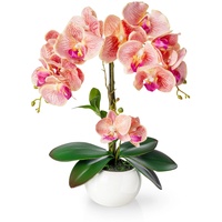 PASCH® Orchideen künstlich in Hochglanz-Keramiktopf (40cm) | Kunstblumen im Topf | Kunstblumen wie echt | künstliche Orchideen im Topf | künstliche Blumen im Topf | Kunstblume Orchidee