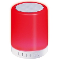 Platinet PDLSB01 Tragbarer Lautsprecher (Batteriebetrieb), Bluetooth Lautsprecher