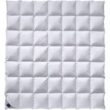 billerbeck Catalina Kassette IV