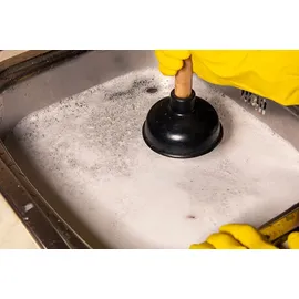 BIOHY Rohrreiniger extra stark 12 x 1 l