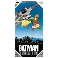 DC Comics Batman Robin Plakat - Multicolor
