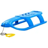 vidaXL Schlitten für Kinder Blau (102,5x40x23)