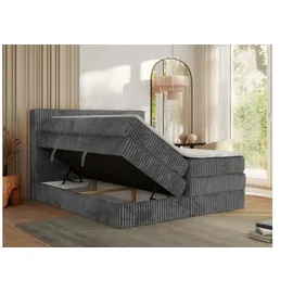 MKS Meble Tiliano King 200 x 200 cm H4 Grau