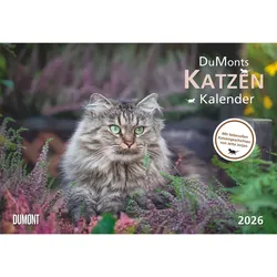 DuMonts Katzen Kalender - Kalender 2026