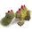 Kuscheltier 35cm liegend GREEN Grün
