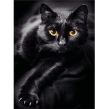 Pracht Creatives Hobby GmbH Diamond Painting Schwarze Katze (Design 25x35)30x40 cm,