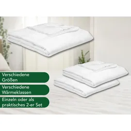 Dreamstar 2er Set Bettdecken | Winter Bettdecke für die kalte Jahreszeit | 135 x 200 cm | DREAMSTAR Eco | Weiß
