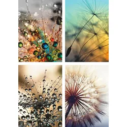 Poster ARTLAND "Pusteblume,Nahaufnahme Löwenzahn", beige (farbe bild(er): naturfarben), B:21cm H:29,7cm, Papier, Bilder, Poster, Wandbild, Bild, Wandposter