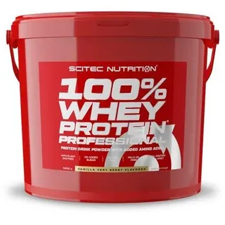 Vanille-Waldfrüchte Pulver 5000 g