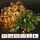 ECD Germany LED-Lichterkette Cluster 20 m Grün