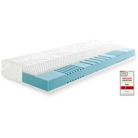 fan 7-Zonen 100 x 200 cm H4