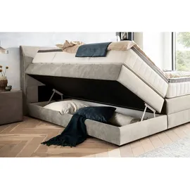 Livetastic Novel Boxspringbett 160 x 200 cm H2 Hellgrau