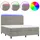 vidaXL Boxspringbett 180 x 200 cm Hellgrau