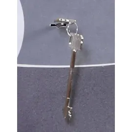 Phoenix Neptune HS1053K / Widerstandsgrad I / LFS 30P