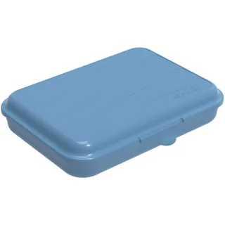Rotho Fun Vesperdose 0.75l mit Klickverschluss, Kunststoff (PP) BPA-frei, blau, 0.75l (19.5 x 14.5 x 4.0 cm)