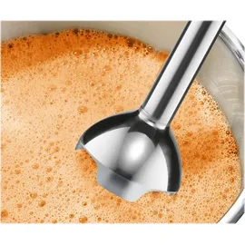 Bosch CleverMixx MSM24100 Stabmixer