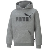 Puma Jungen Hoodie - ESS Big Logo Hoodie, Rundhals, langarm, uni, Kapuze Grau 104