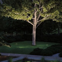 Paulmann Plug & Shine LED-Wandleuchte LED Grau