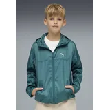 Puma Windbreaker Grün 152