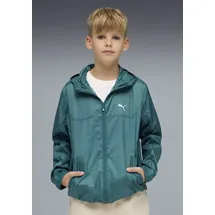 Puma Windbreaker Grün 152