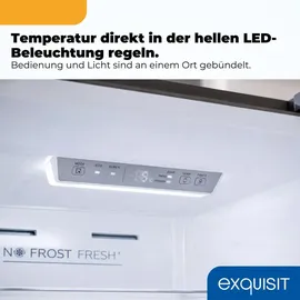 Exquisit KGC380-115-NF-040C Kühl-Gefrierkombination (379 l, 2005 mm hoch, Inoxlook)