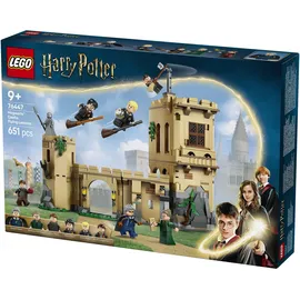 LEGO Harry Potter Schloss Hogwarts Flugstunden 76447