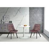 Trisens Esszimmerstuhl (2er-Set), Polsterstuhl, Samt, Sessel mit Rückenlehne, Metallbeine,Samt