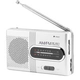 Richer-R Tragbares Digitales Radio, Tragbare AM/FM Radio Stereo Lautsprecher Empfänger Musik Player, Taschenradio Digitalradio mit Antenna für Outdoor Silberig