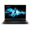 ERAZER Beast X40 (MD62507), Gaming-Notebook