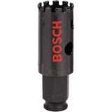 Bosch Accessories 2608580304