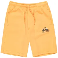 QUIKSILVER Easy Day Sportshorts - Chamois - 14 Jahre