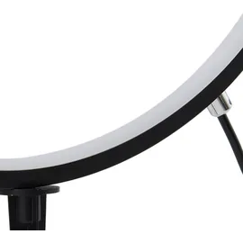 LINDBY LED Solar-Erdspießleuchte Syrene Aluminium 45 cm 1 x 0,24 W warmweiß schwarz